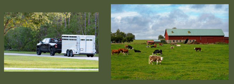 Flatbed and Equipment Trailers for Maximum Flexibility